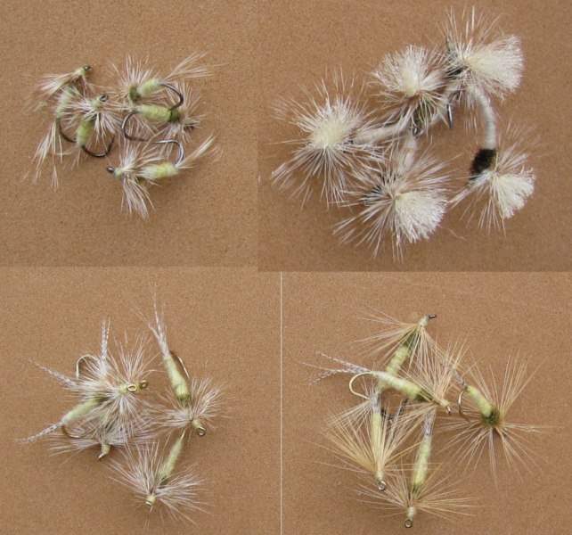 Vatertag [800x600].jpg