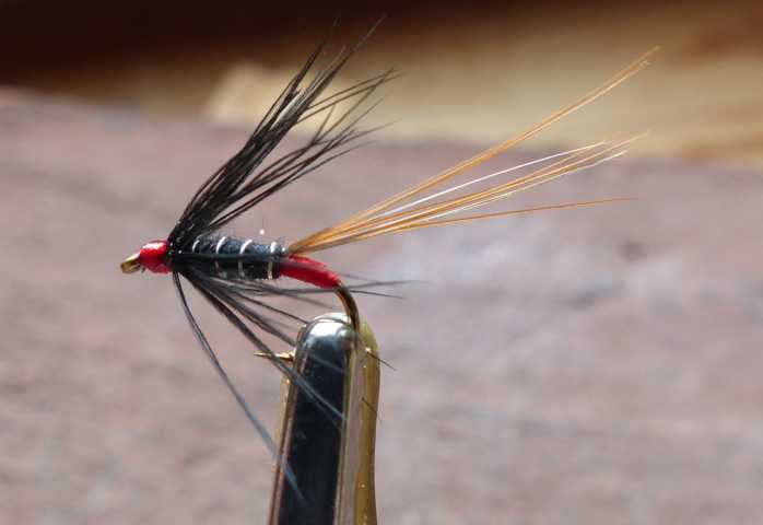 red_tag_wet 0031.JPG