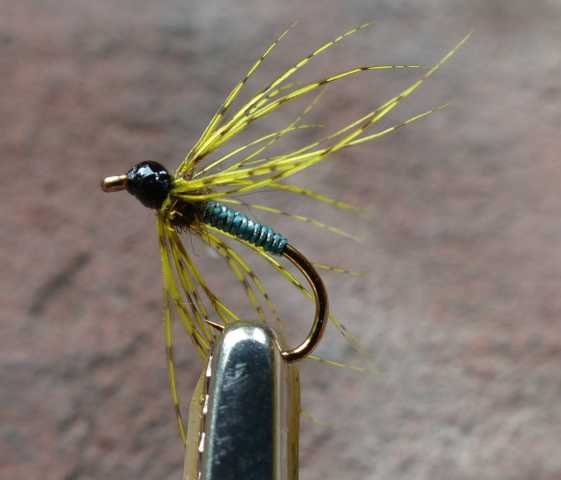 yellow_partridge_wet 0041.JPG