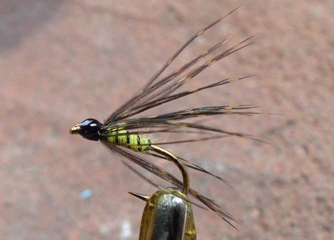 yellow and black wire wet 0031.JPG