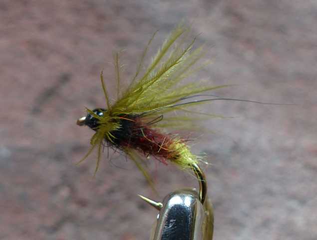 Marabou_Hackle_Wet 0031.JPG