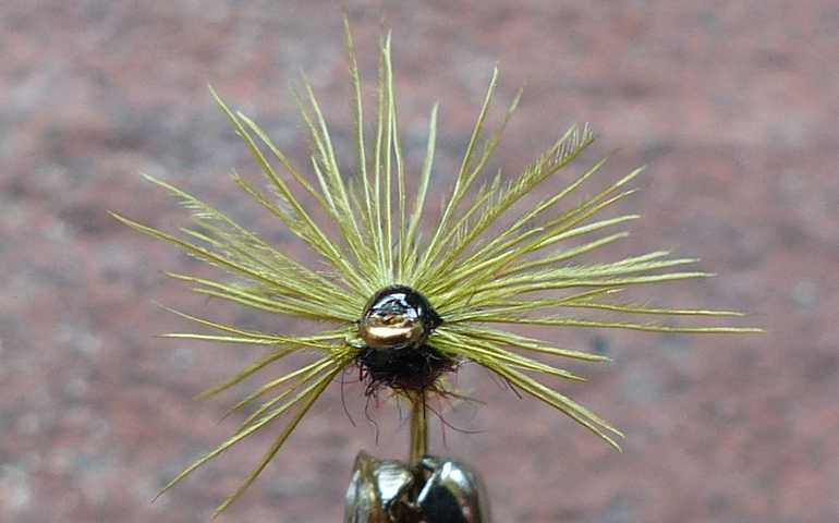 Marabou_Hackle_Wet 0011.JPG