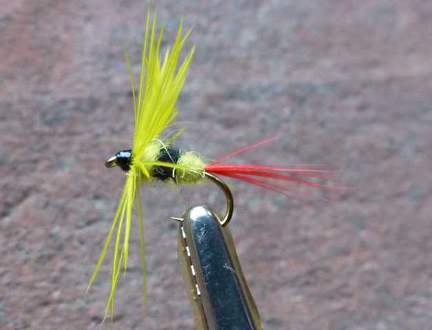 Gelber Bomber 0021.JPG