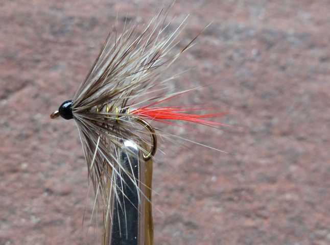 Grizzley_Wet 0021.JPG