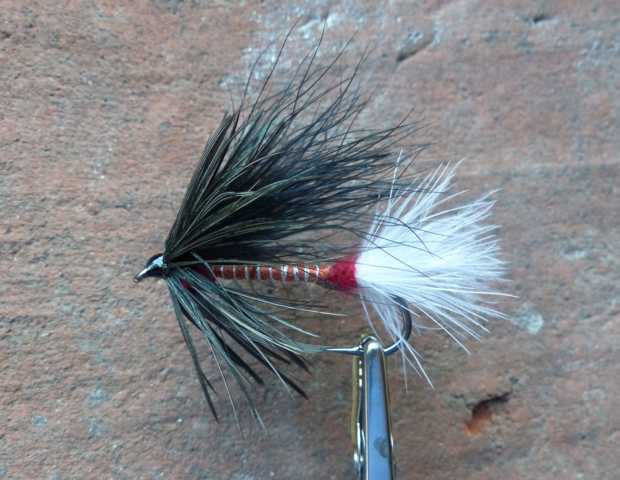 Marabou-Streamer Black 0061.JPG
