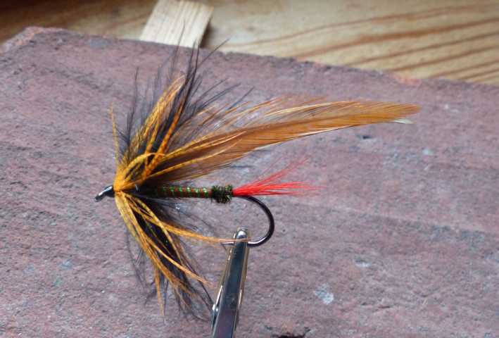 Duster 0011.JPG