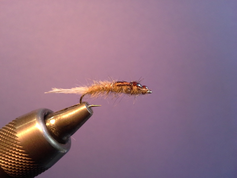 20150620_151805.jpg