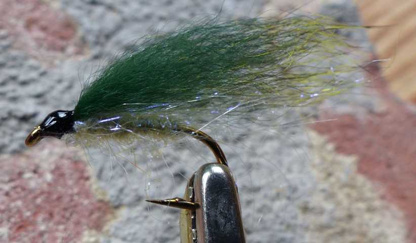 green ozzie 0041.JPG