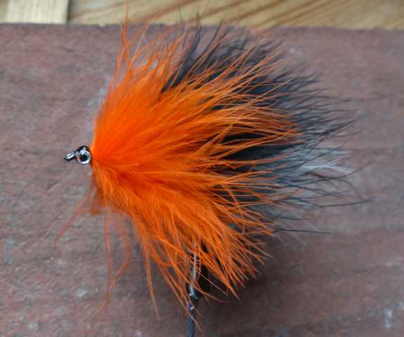 Marabou orange_black&white 0041.JPG