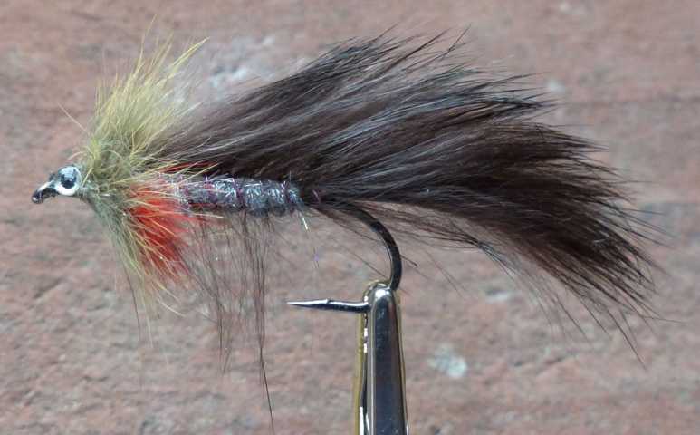Zonker 0011.JPG