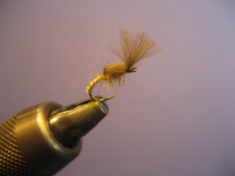 Biot Emerger