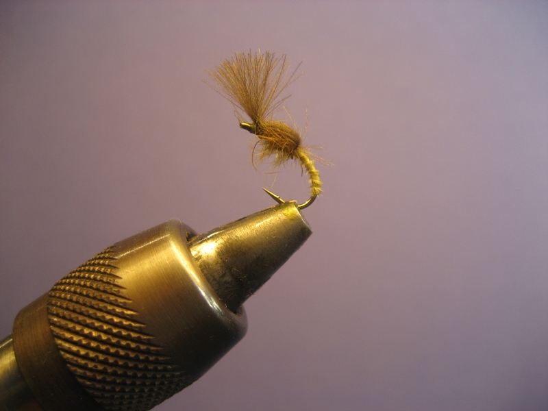 Biot Emerger
