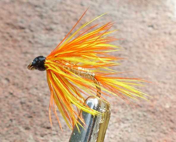 Frank´s Mickey Finn Wet Fly 0031.JPG