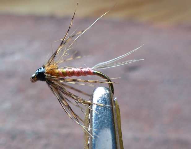 Soft Hackles 0031.JPG