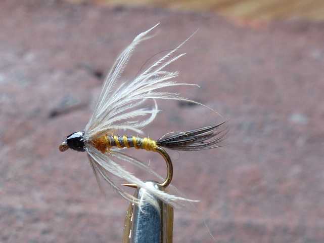 Soft Hackles 0041.JPG
