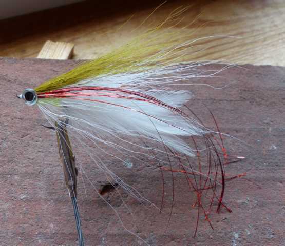 Bucktail-Hechtstreamer 0081.JPG