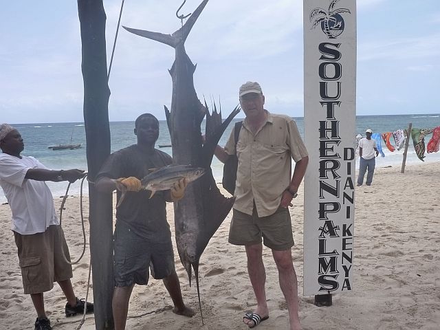Sailfish_1.jpg