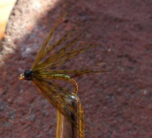 green_partridge 0051.JPG