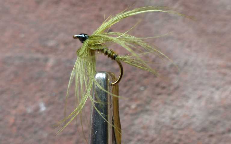 Biots and Mallard Hackle 0021.JPG