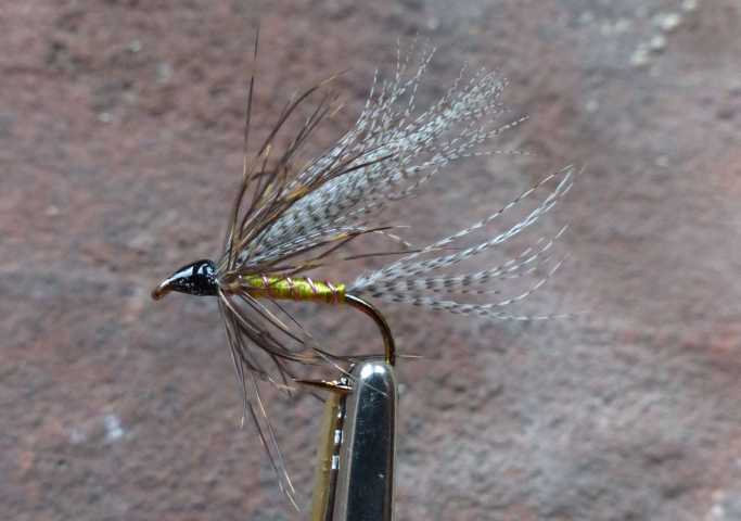 Goldie 0041.JPG