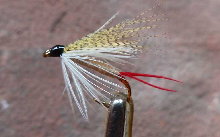 White Lady 0041.JPG