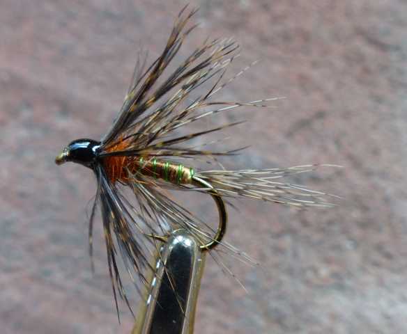 two_hackle 0041.JPG