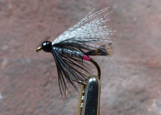 Silver Blacky 0061.JPG