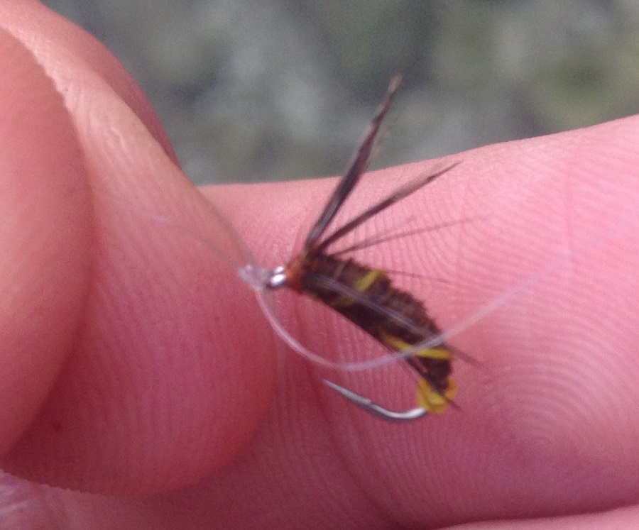 wetfly.jpg