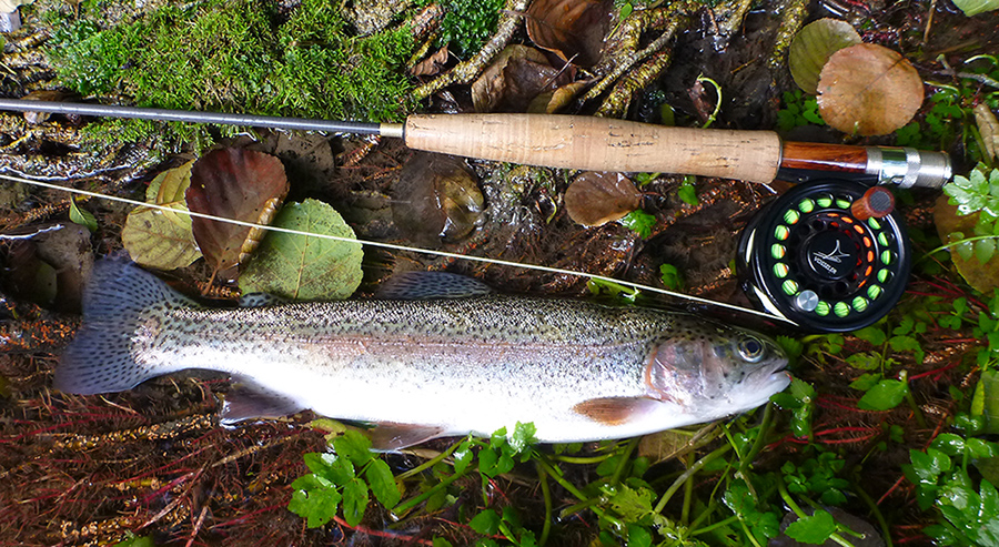 P1010665_k.jpg