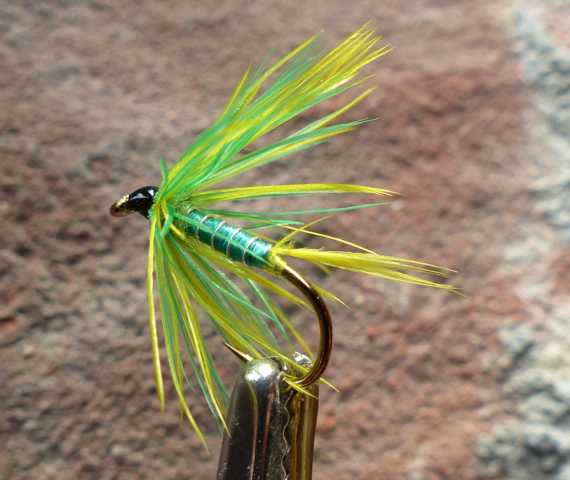 Green Highländer Wet-Variante 0071.JPG