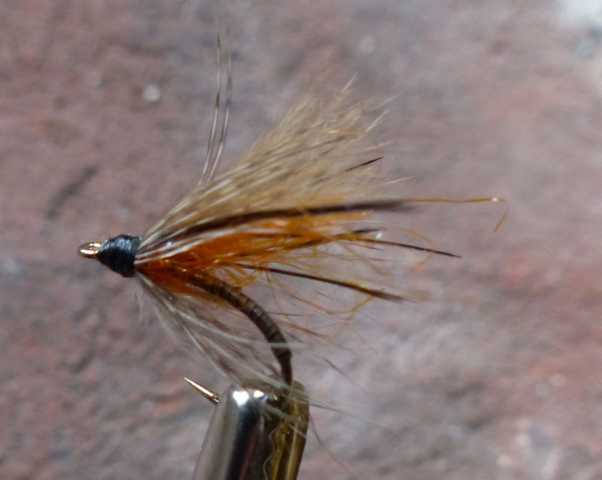 Emerger 0041.JPG