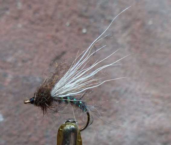 Emerger 0061.JPG
