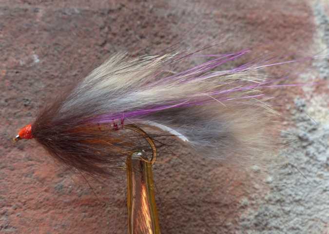 Strip Leech Fischchen 0072.JPG