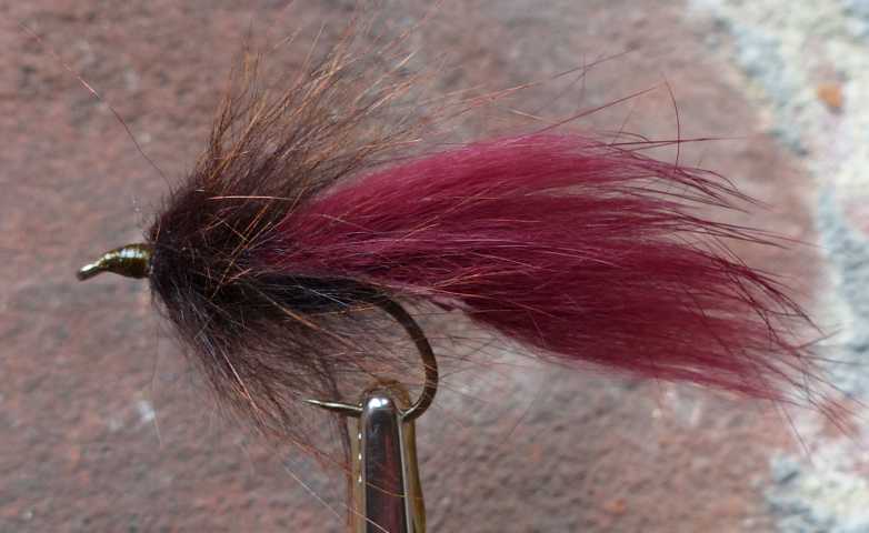 Strip Leech Fischchen 0081.JPG