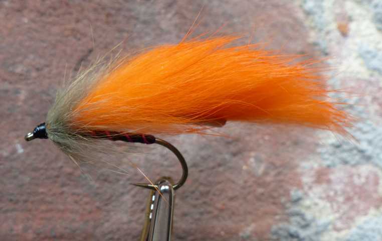 Strip Leech Fischchen 0191.JPG