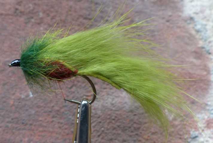 Strip Leech Fischchen 0201.JPG