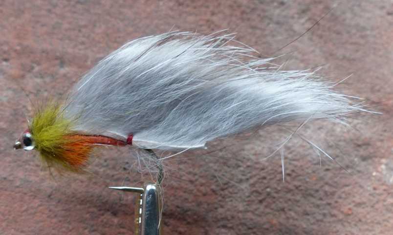 Strip Leech Fischchen 0291.JPG