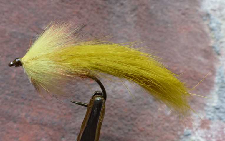 Strip Leech Fischchen 0361.JPG