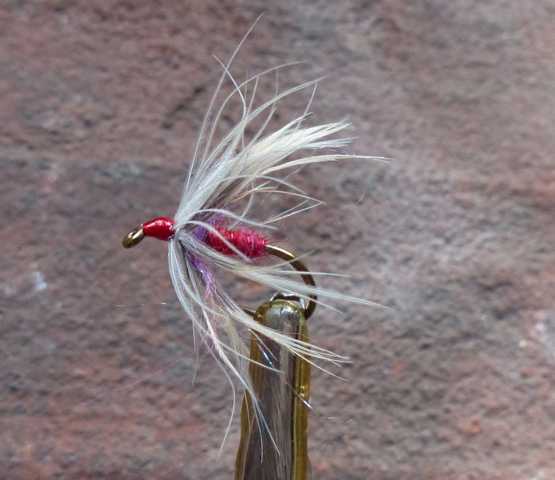 two pink wet 0021.JPG