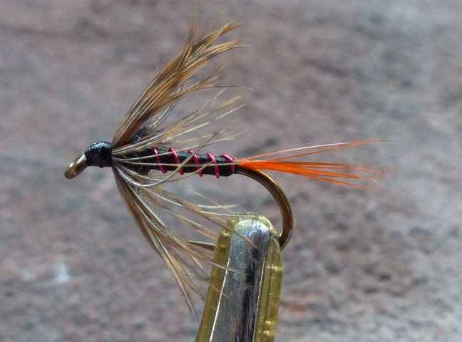 Woodcock_black Wet 0041.JPG