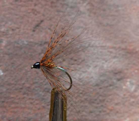 Glitter and CDC-Wet 0021.JPG