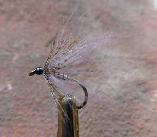 Partridge and CDC 0011.JPG