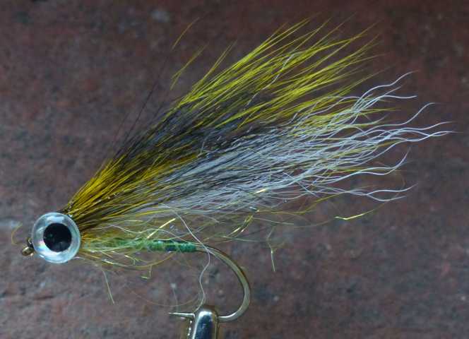 Minnows 0251.JPG