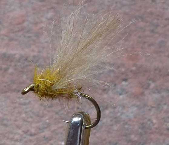 BZ CDC Fly #1 0031.JPG