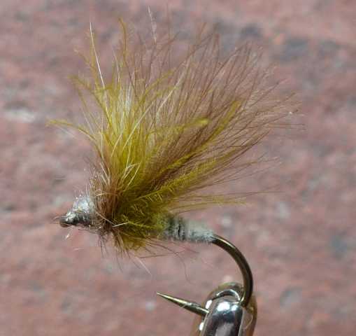 BZ CDC Fly #2 0061.JPG