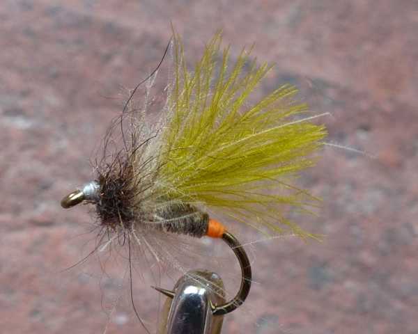 BZ CDC Fly #3 0081.JPG