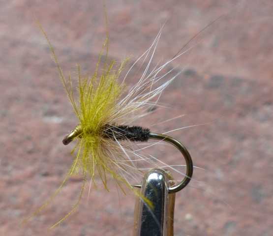 BZ CDC Fly #4 0101.JPG