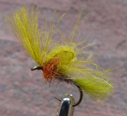 BZ CDC Emerger #1 0041.JPG