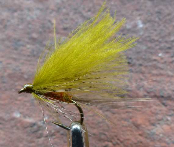 BZ CDC Emerger #2 0081.JPG