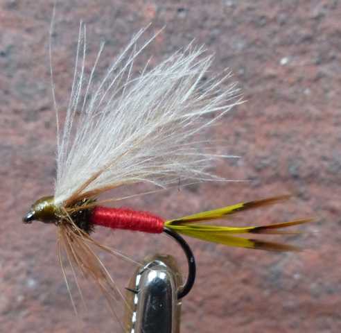 BZ CDC Wet #2 0061.JPG